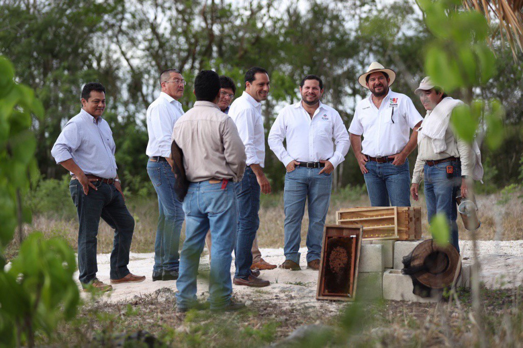 Supervisan producción de Abejas Reina Supervisan producción de Abejas Reina