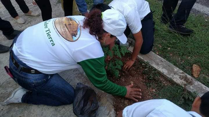 Reforestan y arborizan distintos espacios de Valladolid Reforestan y arborizan distintos espacios de Valladolid