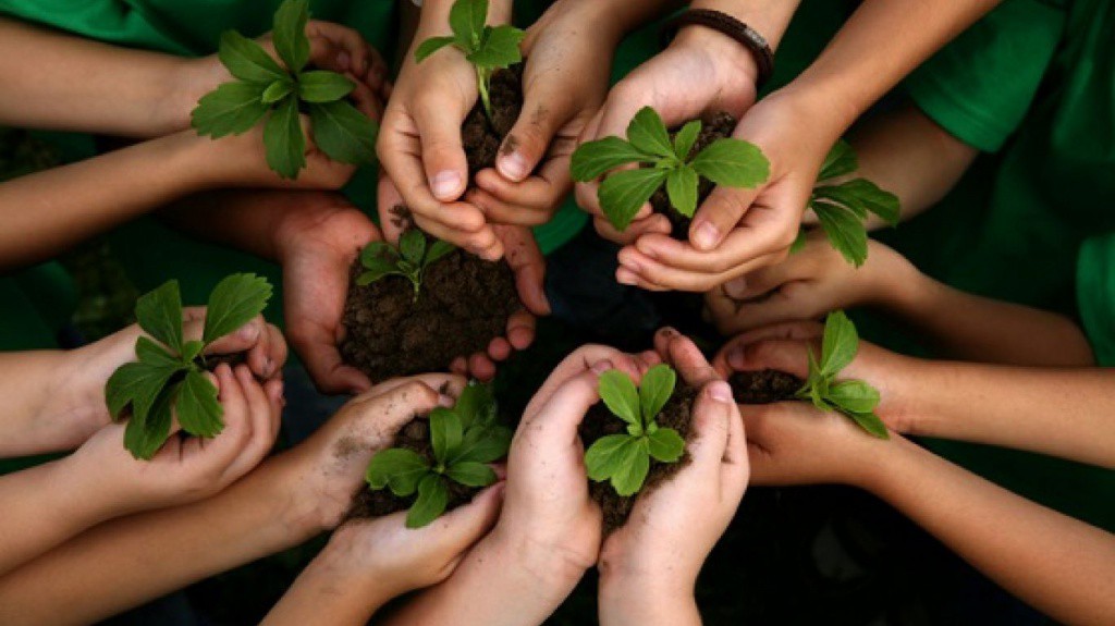Invitan a reforestar Mérida Invitan a reforestar Mérida