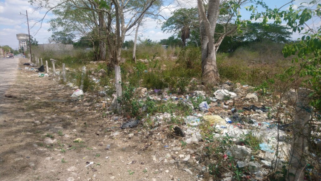 Multas en Valladolid a los que arrojen basura en lugares prohibidos Multas en Valladolid a los que arrojen basura en lugares prohibidos