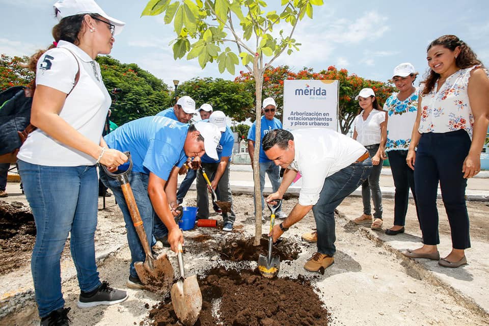 Mérida cada vez más verde Mérida cada vez más verde