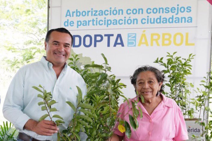 Plan de arborización lleva un avance del 25% Plan de arborización lleva un avance del 25%