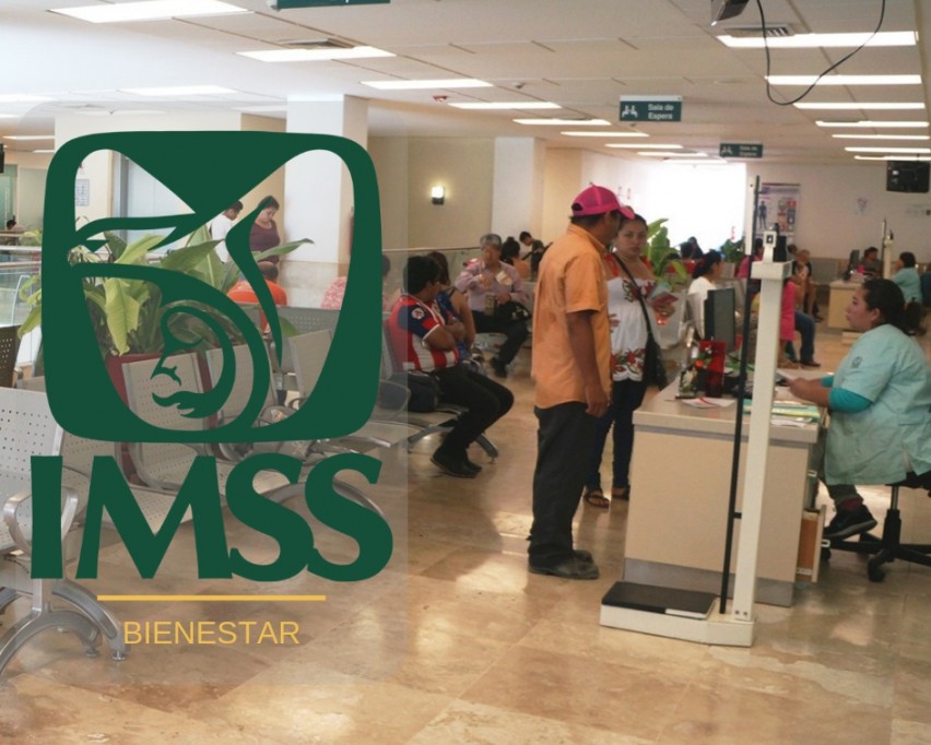 IMSS atiende casos de infección por piojos IMSS atiende casos de infección por piojos
