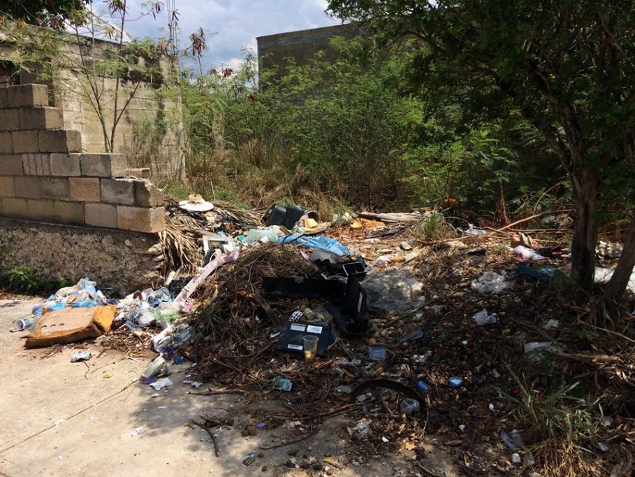 Más de mil reportes por predios abandonados en Mérida Más de mil reportes por predios abandonados en Mérida