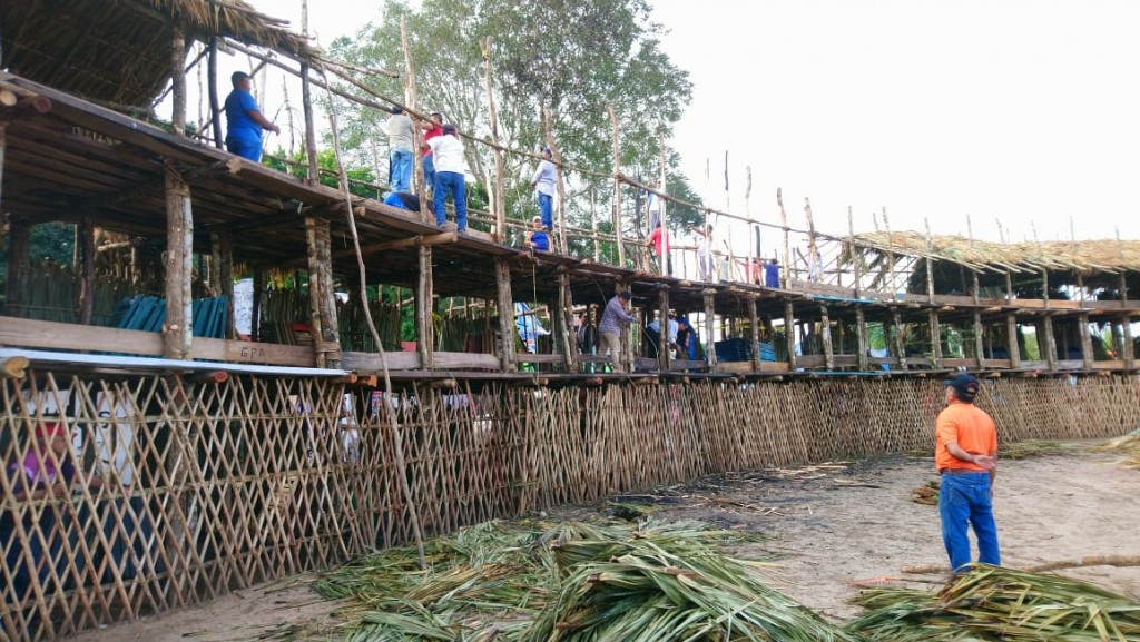 En Tizimín hay madera y huano para 40 cosos taurinos En Tizimín hay madera y huano para 40 cosos taurinos