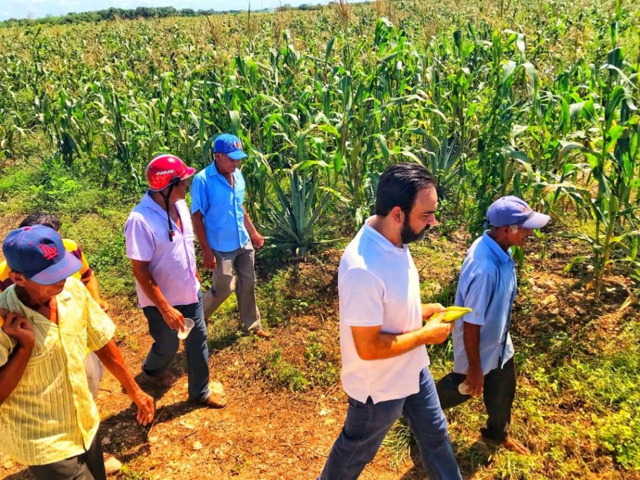 Apoyo al campo aumenta la deserción laboral Apoyo al campo aumenta la deserción laboral