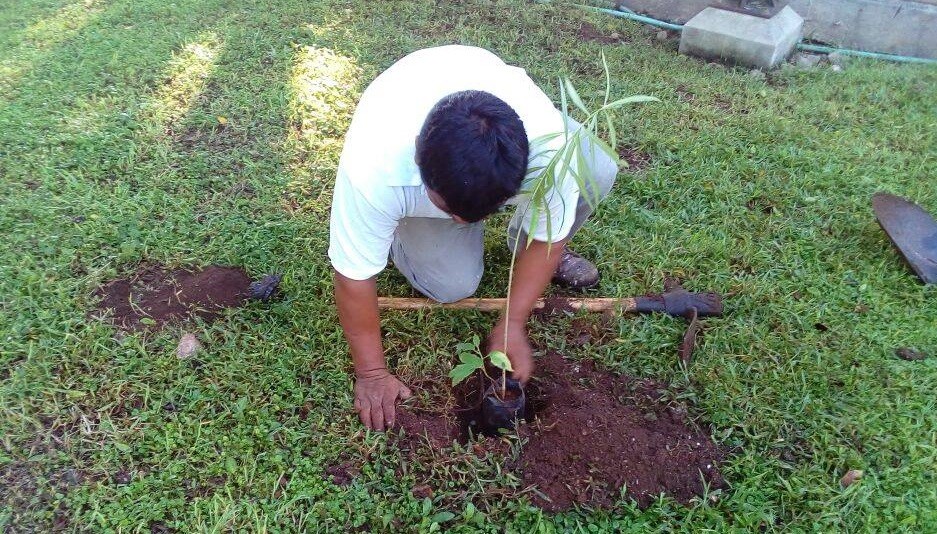 Certificarán a escuelas de Valladolid como sustentables Certificarán a escuelas de Valladolid como sustentables