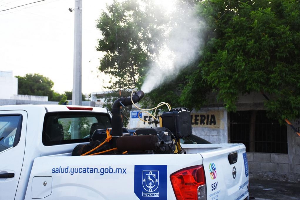 Mantendrá SSY paso firme en combate al dengue en Yucatán Mantendrá SSY paso firme en combate al dengue en Yucatán