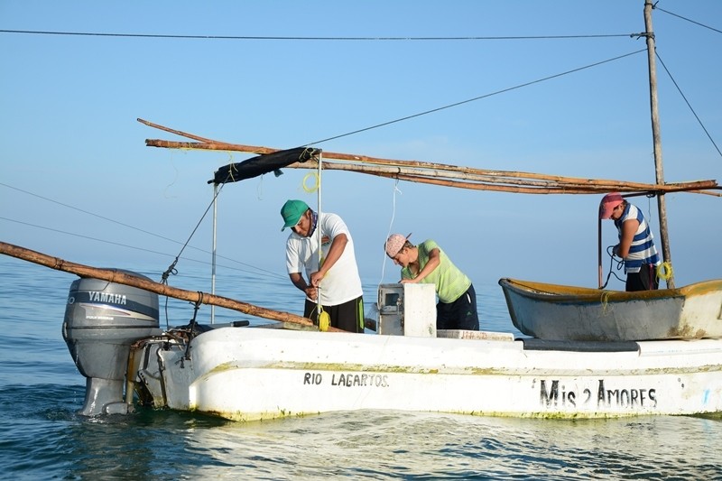 Dan trabajo temporal a más de 10 mil pescadores Dan trabajo temporal a más de 10 mil pescadores