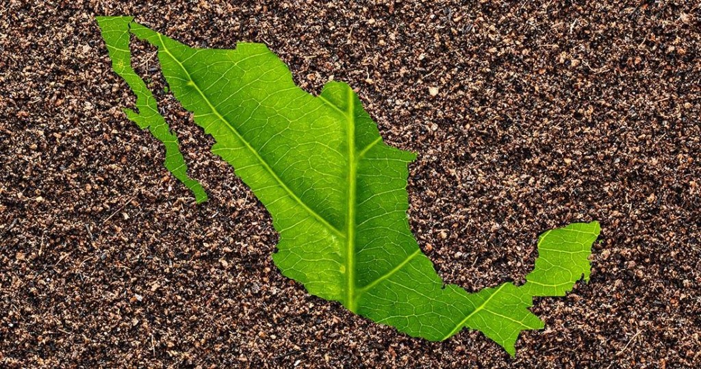 Yucatán, Campeche y Quintana Roo, unidos contra el cambio climático Yucatán, Campeche y Quintana Roo, unidos contra el cambio climático