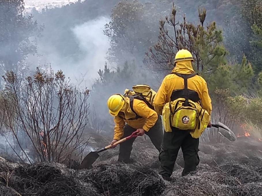 Yucatán listo para la temporada de incendios Yucatán listo para la temporada de incendios