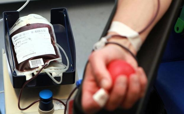 Buscan donadores de sangre para joven madre con leucemia Buscan donadores de sangre para joven madre con leucemia