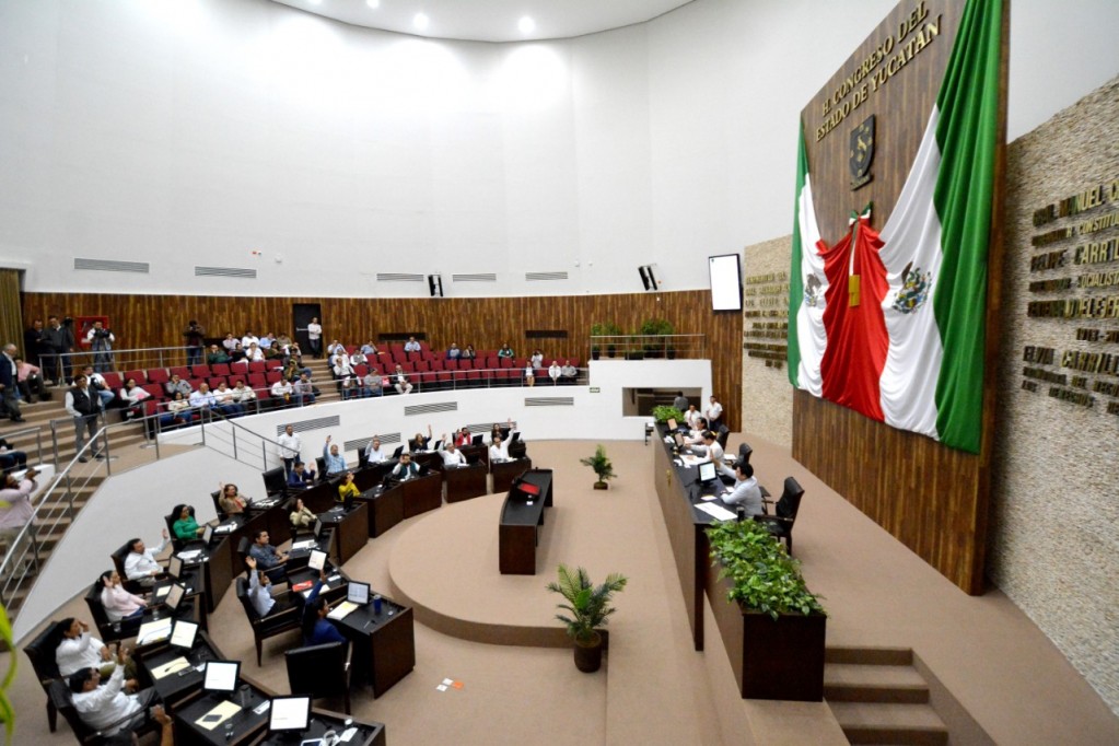 Los diputados representan a la sociedad, no a un partido… Los diputados representan a la sociedad, no a un partido…