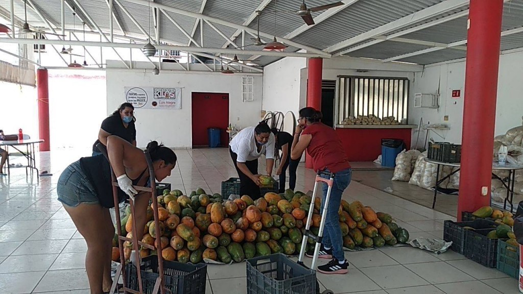 Reúnen más de 100 toneladas de alimento para familias quintanarroenses Reúnen más de 100 toneladas de alimento para familias quintanarroenses