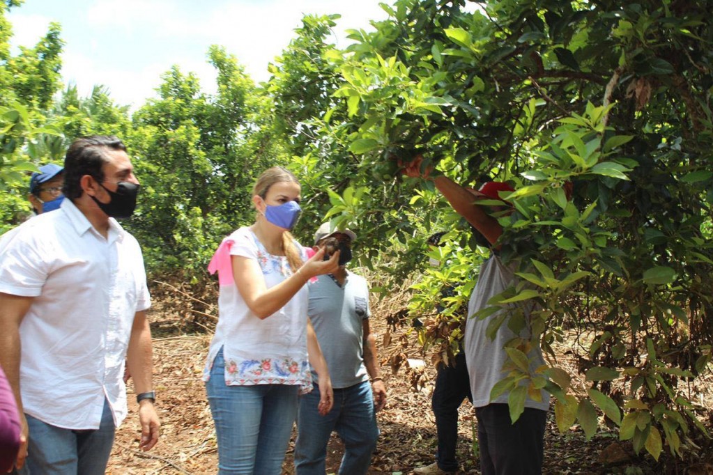 Morena se opone a solicitud de apoyo para Yucatán Morena se opone a solicitud de apoyo para Yucatán