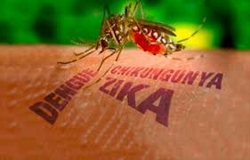 Además del Covid-19, Yucatán está expuesto al dengue, zika y chikungunya Además del Covid-19, Yucatán está expuesto al dengue, zika y chikungunya