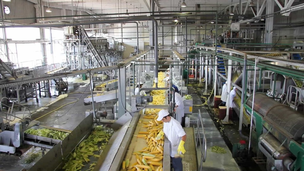 Reconocen que ha sido mínimo el recorte de persona en industria alimenticia Reconocen que ha sido mínimo el recorte de persona en industria alimenticia