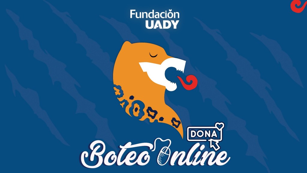 Fundación UADY arranca boteo online Fundación UADY arranca boteo online