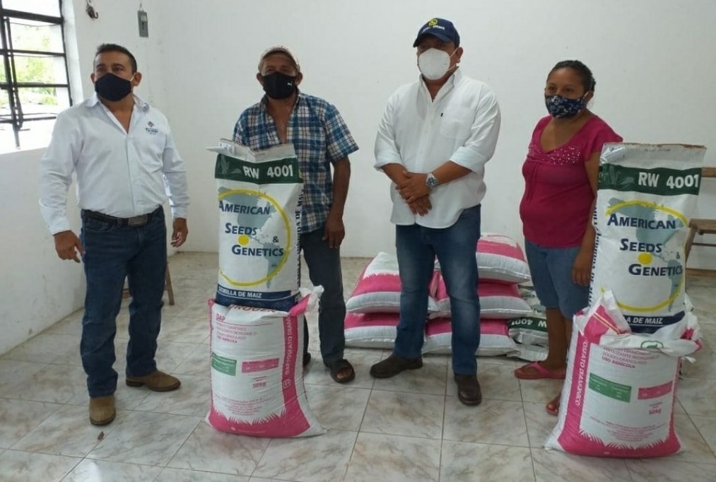 Distribuyen semillas de calabaza y maiz en comisarías tizimileñas Distribuyen semillas de calabaza y maiz en comisarías tizimileñas