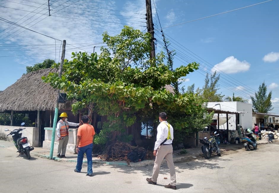 Cfe reemplazará postes de luz en Rio Lagartos Cfe reemplazará postes de luz en Rio Lagartos