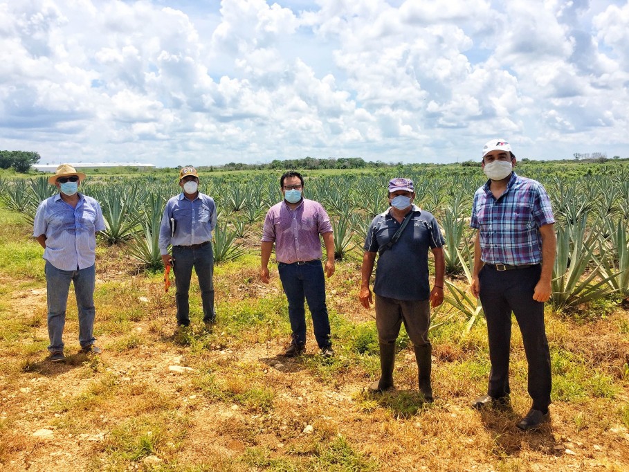 Reduce un 40% apoyo al sector agroalimentario Reduce un 40% apoyo al sector agroalimentario
