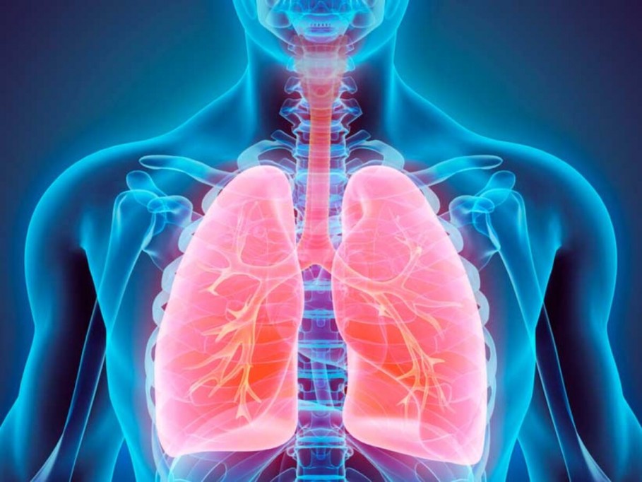 Llaman a cuidar la hipertensión arterial pulmonar Llaman a cuidar la hipertensión arterial pulmonar