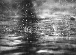Nyleros se reportan listos ante la temporada de lluvias Nyleros se reportan listos ante la temporada de lluvias