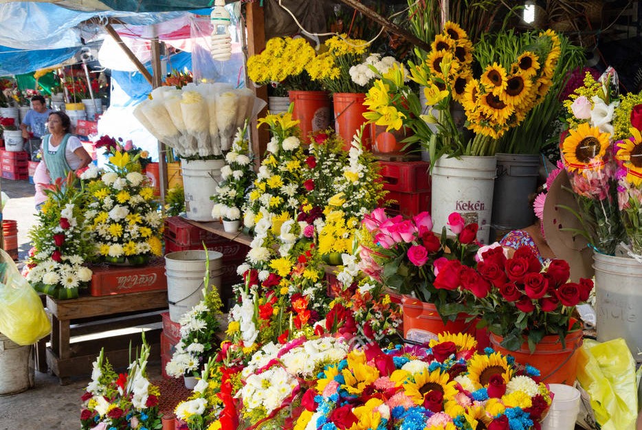 Vendedores de flores esperan repunte en ventas Vendedores de flores esperan repunte en ventas