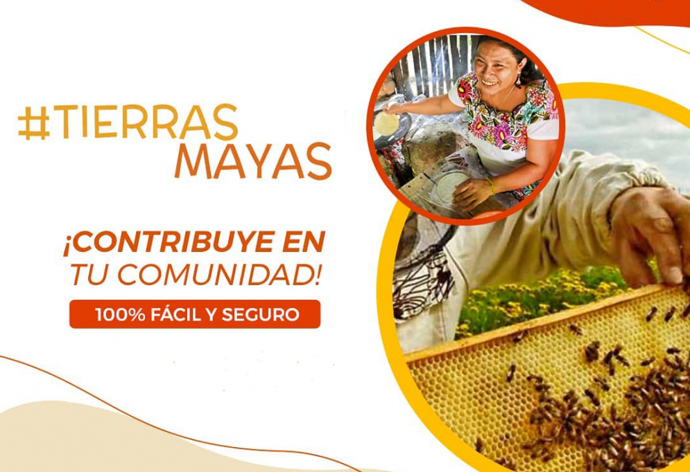Con #TierrasMayas apoya en línea a 15 organizaciones rurales Con #TierrasMayas apoya en línea a 15 organizaciones rurales