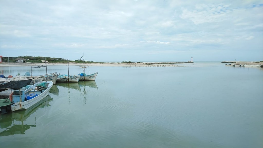Crisis para pescadores, su trabajo ha sido golpeado Crisis para pescadores, su trabajo ha sido golpeado