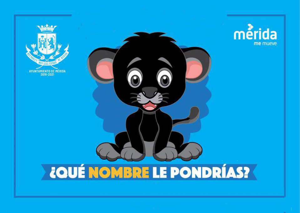 Ponle nombre al jaguar del Centenario Ponle nombre al jaguar del Centenario