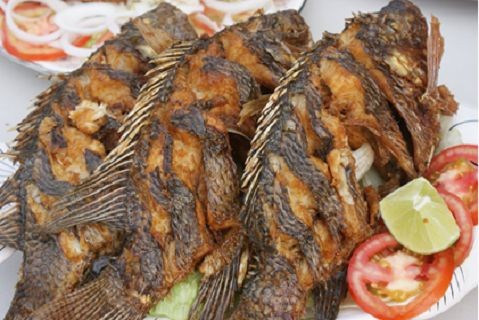 Reportan repunte de venta en mariscos previo al fin de la Semana Santa Reportan repunte de venta en mariscos previo al fin de la Semana Santa