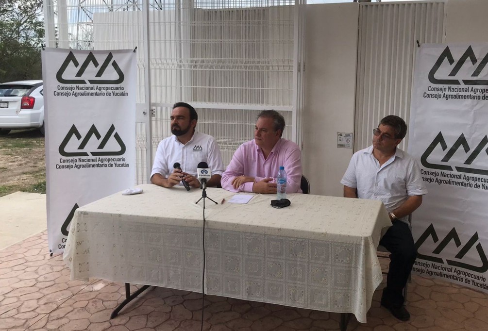 Crece 2% el sector agroalimentario a pesar de la pandemia Crece 2% el sector agroalimentario a pesar de la pandemia