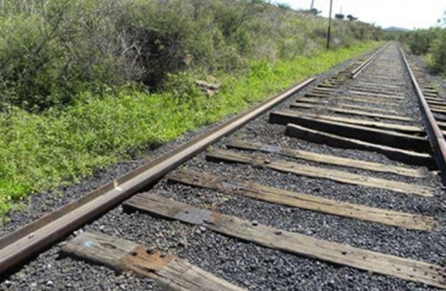 Vandalismo provoca descarrilamiento en Jalisco Vandalismo provoca descarrilamiento en Jalisco
