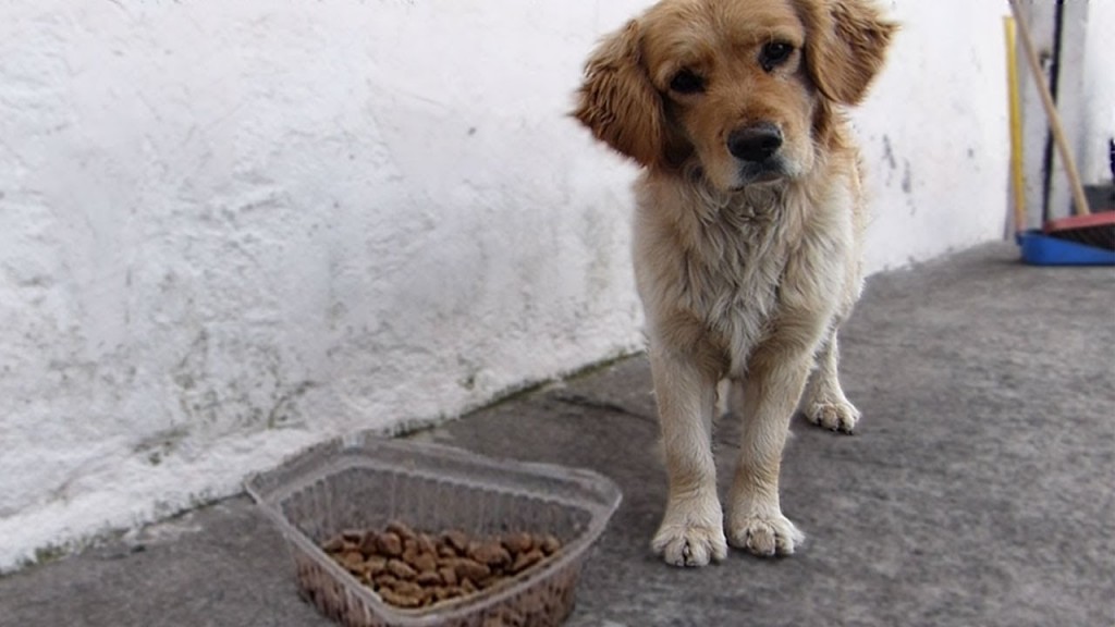 “No está prohibido alimentar a los animales” “No está prohibido alimentar a los animales”