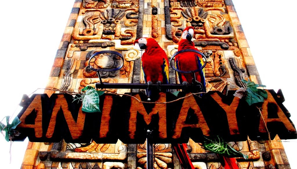 Aprueban intercambio de animales de Animaya y el Centenario Aprueban intercambio de animales de Animaya y el Centenario