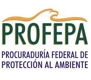 La Profepa ha recibido 450 denuncias en este 2013 La Profepa ha recibido 450 denuncias en este 2013