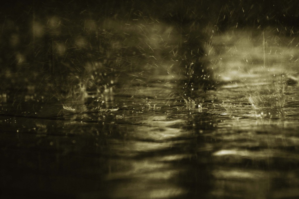 Exhortan a mantener limpias las rejillas para garantizar el drenaje de agua Exhortan a mantener limpias las rejillas para garantizar el drenaje de agua