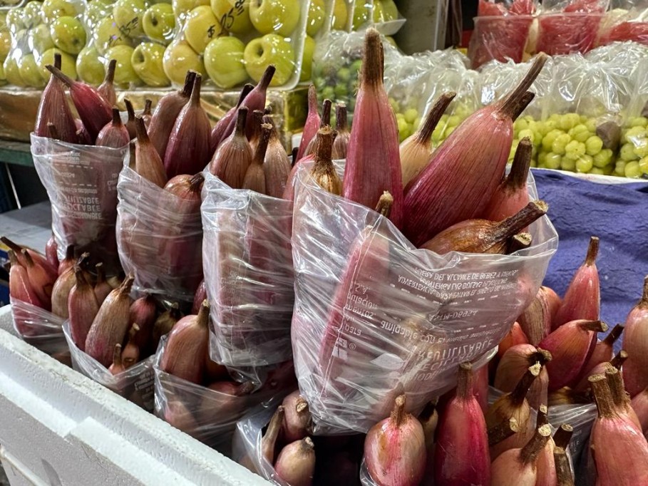 Últimas semanas de la temporada de Piñuela Últimas semanas de la temporada de Piñuela