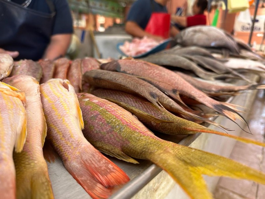 Comer pescado ya no es parte del sacrificio de la semana santa Comer pescado ya no es parte del sacrificio de la semana santa