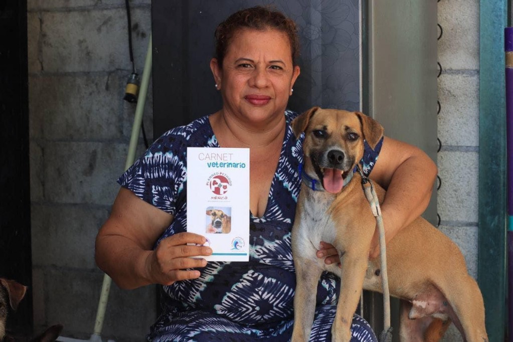Chino, perrito sagrado de Kukulkán, ya tiene hogar digno Chino, perrito sagrado de Kukulkán, ya tiene hogar digno