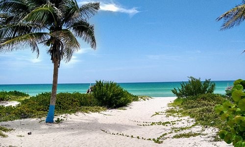 TripAdvisor TripAdvisor