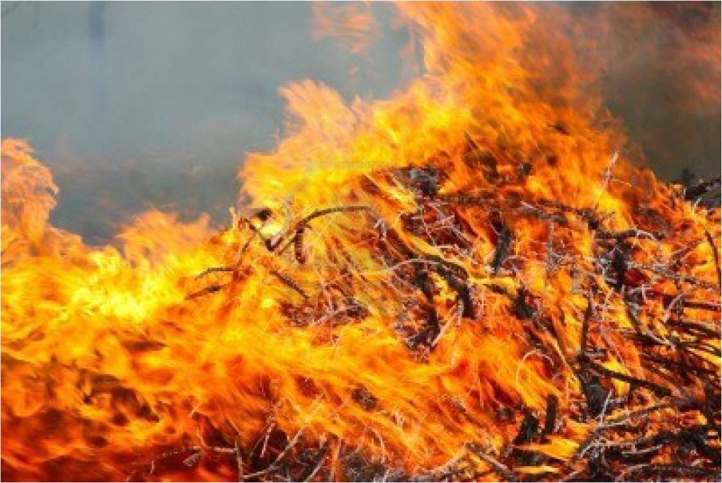 Menos incendios este año, dice la titular de la Conafor Menos incendios este año, dice la titular de la Conafor
