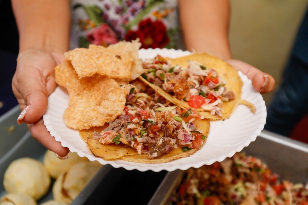 Anuncian nueva edición del Festival de la Chicharra en Xcalachén Anuncian nueva edición del Festival de la Chicharra en Xcalachén