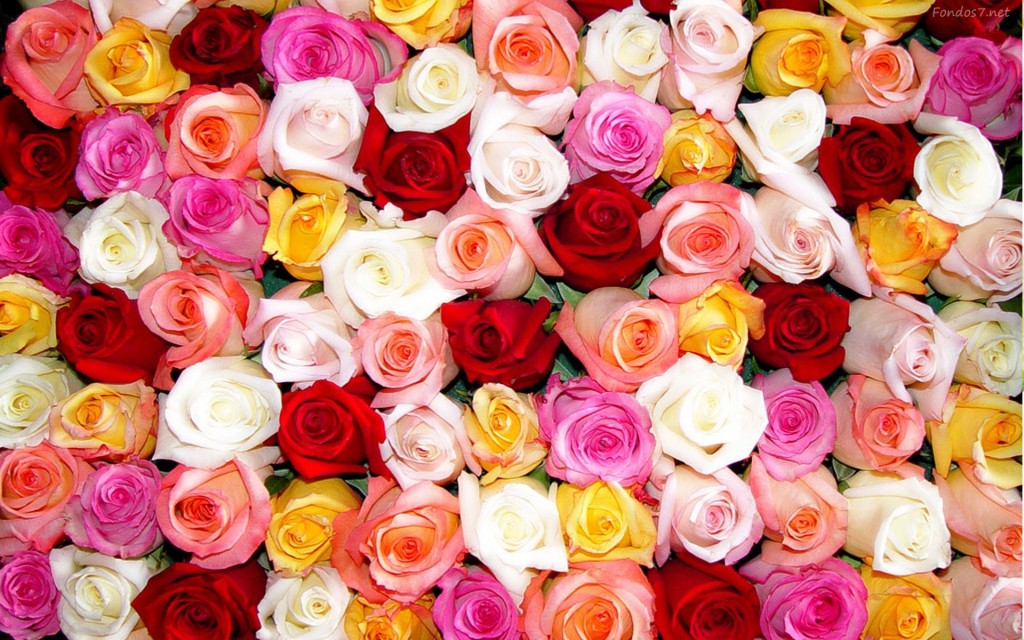 ¿Qué le vas a regalar a tu mamá? ¿Qué le vas a regalar a tu mamá?