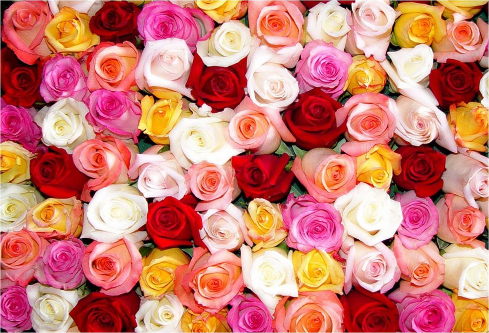 Más que un detalle, una tradición regalar flores Más que un detalle, una tradición regalar flores