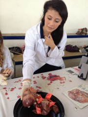 Escuela Modelo realiza su 6ª feria de ciencias Escuela Modelo realiza su 6ª feria de ciencias