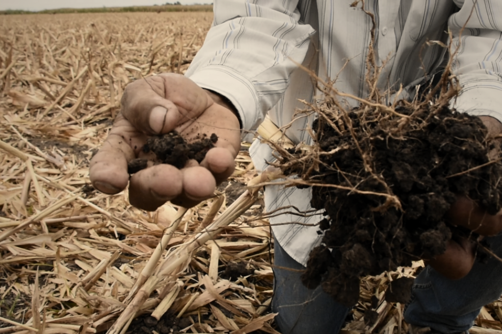 (Foto: Francisco Alarcón / CIMMYT) (Foto: Francisco Alarcón / CIMMYT)