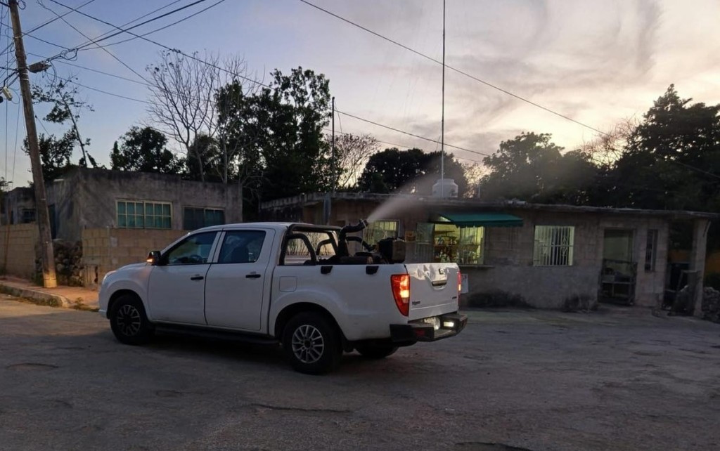 Cortesía Cortesía