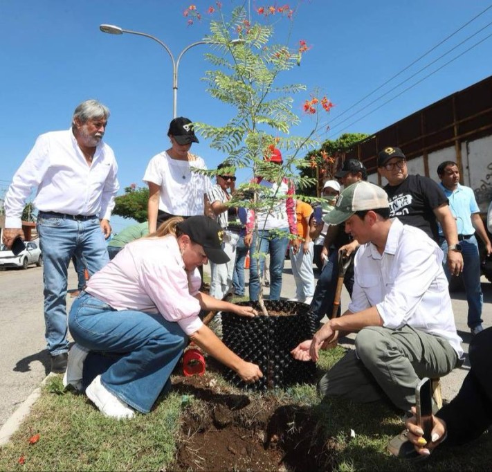 Árboles fuertes y una Mérida más verde Árboles fuertes y una Mérida más verde